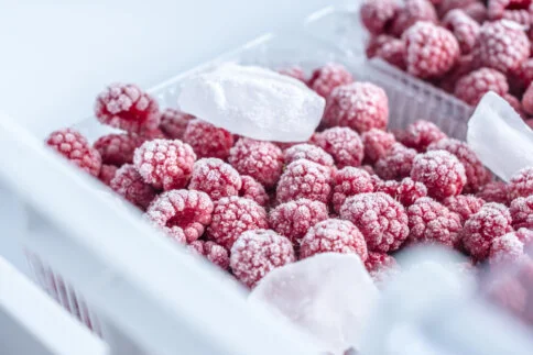 IQF tunel i linija za zamrzavanje